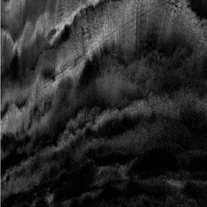 Meet your Posher, Ava